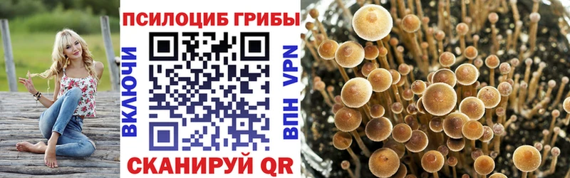 Псилоцибиновые грибы Cubensis  Задонск 